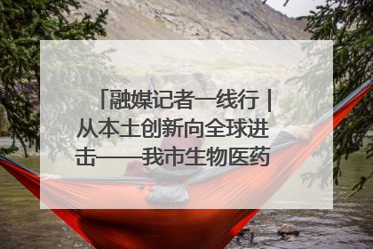 融媒记者一线行｜从本土创新向全球进击——我市生物医药产业破茧突围