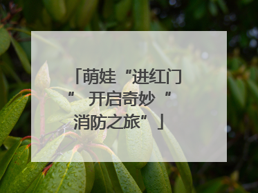 萌娃“进红门” 开启奇妙“消防之旅”