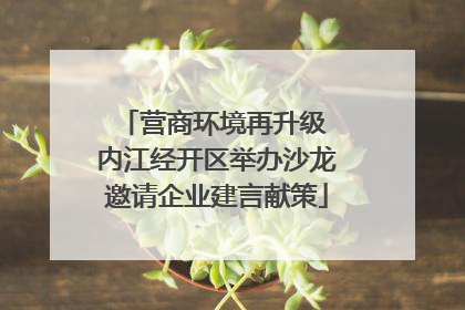 营商环境再升级 内江经开区举办沙龙邀请企业建言献策