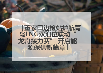 董家口边检站护航青岛LNG双泊位联动“龙舟接力赛” 开启能源保供新篇章