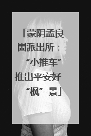 蒙阴孟良崮派出所：“小推车”推出平安好“枫”景