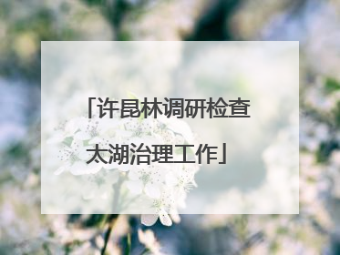 许昆林调研检查太湖治理工作