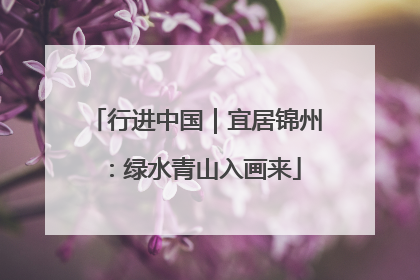 行进中国｜宜居锦州：绿水青山入画来