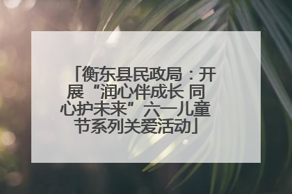 衡东县民政局：开展“润心伴成长 同心护未来”六一儿童节系列关爱活动