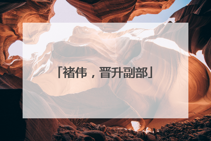 褚伟，晋升副部