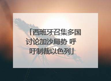 西班牙召集多国讨论加沙局势 呼吁制裁以色列