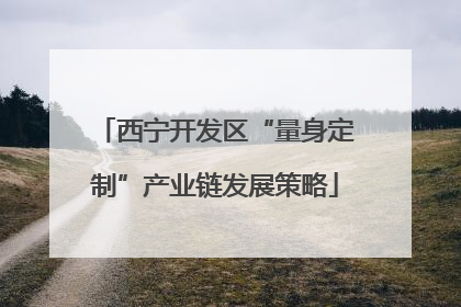 西宁开发区“量身定制”产业链发展策略
