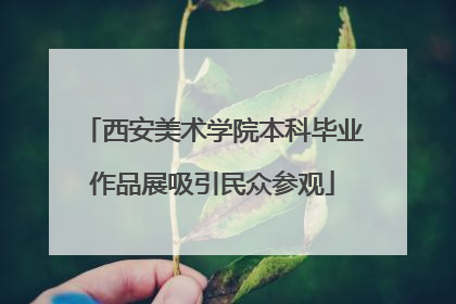 西安美术学院本科毕业作品展吸引民众参观