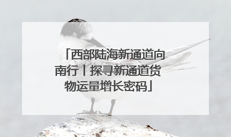 西部陆海新通道向南行丨探寻新通道货物运量增长密码