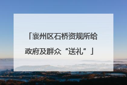 襄州区石桥资规所给政府及群众“送礼”
