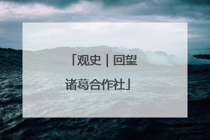 观史｜回望诸葛合作社
