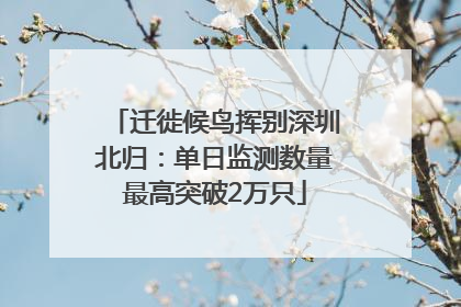 迁徙候鸟挥别深圳北归：单日监测数量最高突破2万只