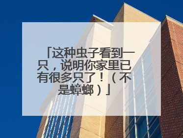 这种虫子看到一只，说明你家里已有很多只了！（不是蟑螂）