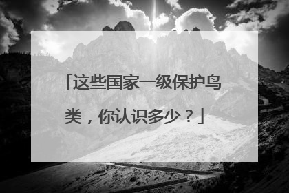 这些国家一级保护鸟类，你认识多少？