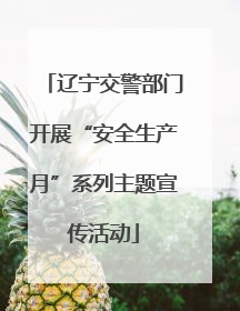 辽宁交警部门开展“安全生产月”系列主题宣传活动