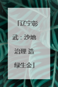 辽宁彰武：沙地治理 造绿生金