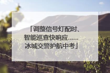 调整信号灯配时、智能巡查快响应……冰城交警护航中考