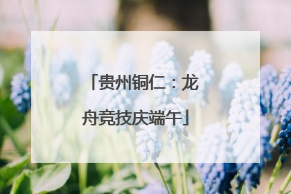 贵州铜仁：龙舟竞技庆端午