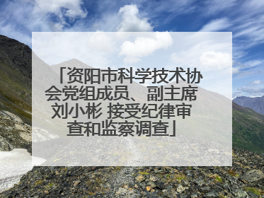 资阳市科学技术协会党组成员、副主席刘小彬 接受纪律审查和监察调查