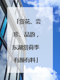 赏花、尝珍、品韵，东湖赏荷季有颜有料