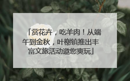 赏花卉，吃羊肉！从端午到金秋，叶榭镇推出丰富文旅活动邀您爽玩