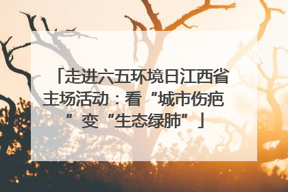 走进六五环境日江西省主场活动：看“城市伤疤”变“生态绿肺”