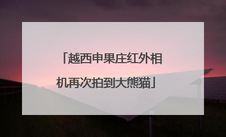 越西申果庄红外相机再次拍到大熊猫
