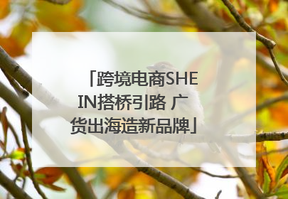 跨境电商SHEIN搭桥引路 广货出海造新品牌
