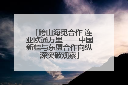 跨山海觅合作 连亚欧通万里——中国新疆与东盟合作向纵深突破观察