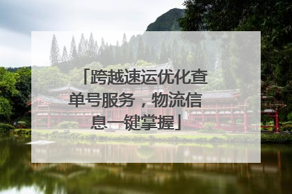 跨越速运优化查单号服务，物流信息一键掌握