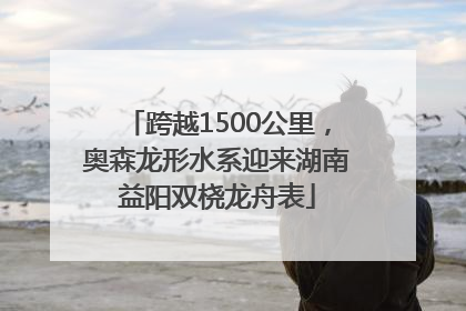 跨越1500公里，奥森龙形水系迎来湖南益阳双桡龙舟表