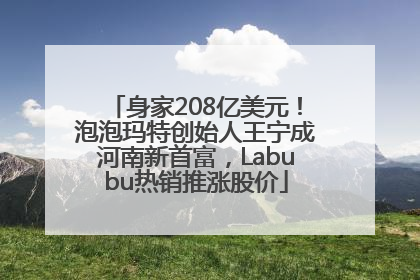 身家208亿美元！泡泡玛特创始人王宁成河南新首富，Labubu热销推涨股价