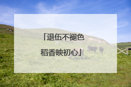 退伍不褪色 稻香映初心