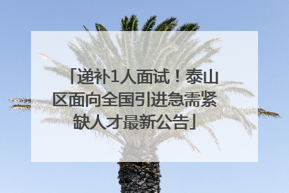 递补1人面试！泰山区面向全国引进急需紧缺人才最新公告
