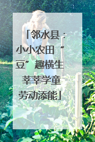 邻水县：小小农田“豆”趣横生 莘莘学童劳动添能