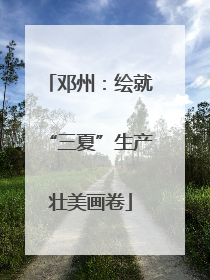 邓州：绘就“三夏”生产壮美画卷