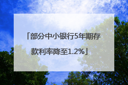 部分中小银行5年期存款利率降至1.2%