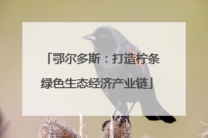 鄂尔多斯：打造柠条绿色生态经济产业链