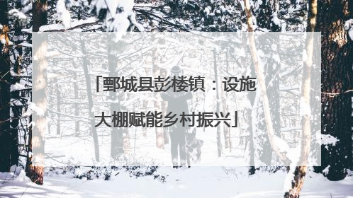 鄄城县彭楼镇：设施大棚赋能乡村振兴