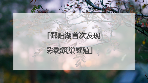 鄱阳湖首次发现彩鹮筑巢繁殖