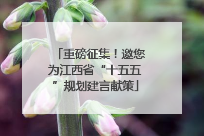 重磅征集！邀您为江西省“十五五”规划建言献策