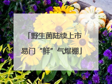 野生菌陆续上市 易门“鲜”气爆棚
