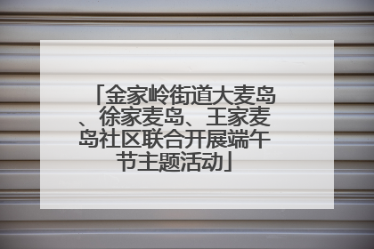 金家岭街道大麦岛、徐家麦岛、王家麦岛社区联合开展端午节主题活动