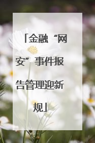金融“网安”事件报告管理迎新规