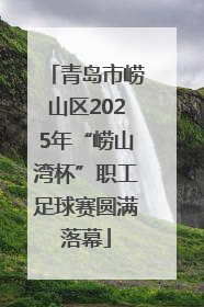 青岛市崂山区2025年“崂山湾杯”职工足球赛圆满落幕