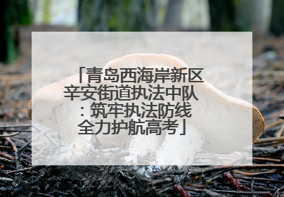 青岛西海岸新区辛安街道执法中队：筑牢执法防线 全力护航高考