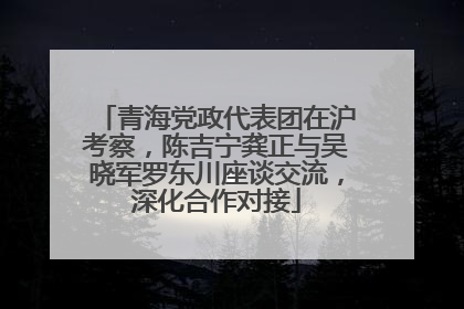 青海党政代表团在沪考察，陈吉宁龚正与吴晓军罗东川座谈交流，深化合作对接
