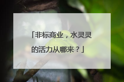 非标商业，水灵灵的活力从哪来？