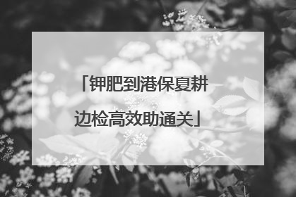 钾肥到港保夏耕 边检高效助通关