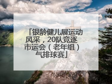 银龄健儿展运动风采，20队竞逐市运会（老年组）气排球赛